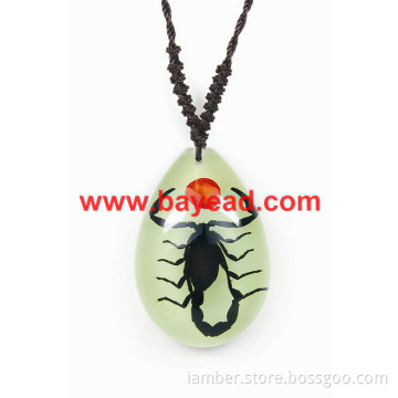 real insect lucite jewelry,real bug jewelry